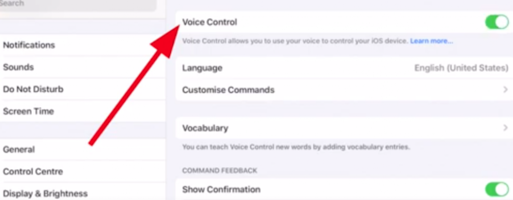 Voice Control